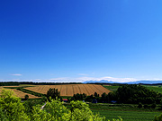 ���l�p�m���}���[�h�̕��i