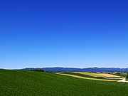 ���l�p�m���}���[�h�̕��i