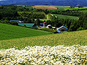 ���l�E�p�m���}���[�h