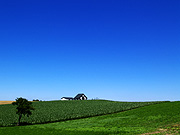 �V�h�̋u����̕��i