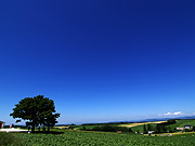 �Z�u���X�^�[�̖�