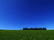 �}�C���h�Z�u���̋u