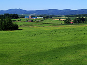 �k���̋u�W�]��������̕��i