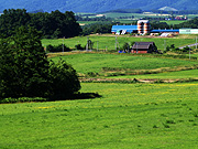 �k���̋u�W�]��������̕��i