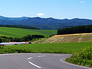 ���l�p�b�`���[�N�̘H�̕��i