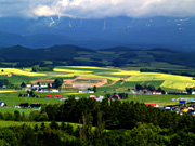 �k���̋u�W�]��������̕��i