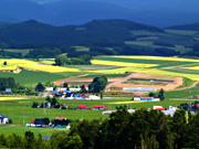 �k���̋u�W�]��������̕��i