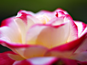 �������o����