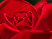 �Ԃ��o���i�}�N���j