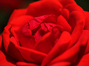 �Ԃ��o���i�}�N���j