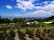 �������o�����̕��i