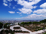 �������o�����̕��i