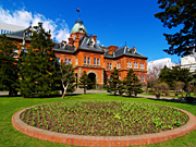 �k�C�����Ԃ�񂪒���