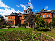 �k�C�����Ԃ�񂪒���