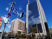 �k�C���x�@�{��