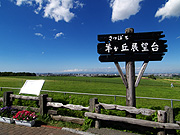 �r���u�W�]��̕��i