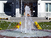 �r���u�W�]��̕��i