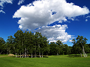 �����Ɛ�̕��i