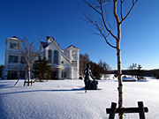 �r���u�E�F�f�B���O�p���X