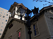 �D�y�s���v��