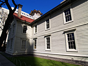 �D�y�s���v��