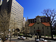 �D�y�s���v��