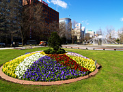 ��ʌ����̕��i