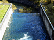 ���ɂ�΁i����_���j