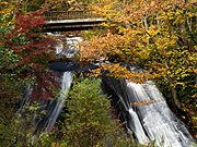 �����}�i�C�̑�