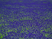 ���x���_�[���̕��i