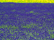 ���x���_�[���̕��i