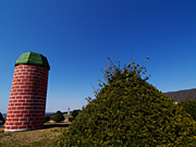 �n�C�W�q��̕��i