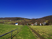 �n�C�W�q��̕��i