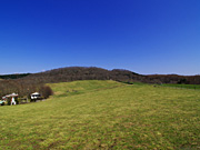 �n�C�W�q��̕��i