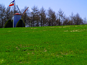 �n�C�W�q��̕��i