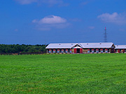 �����̖q�ꕗ�i