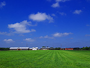 �����̖q�ꕗ�i