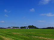 �����̖q�ꕗ�i