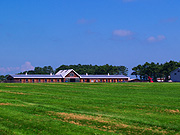 �����̖q�ꕗ�i