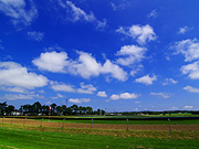 �����̖q�ꕗ�i