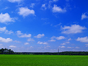 �����̖q�ꕗ�i