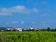 �����̖q�ꕗ�i