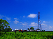 �����̖q�ꕗ�i