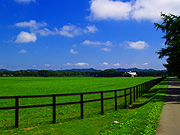 �����̖q�ꕗ�i