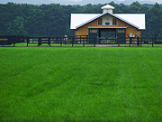 �����q�ꕗ�i