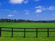 �����̖q�ꕗ�i