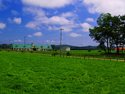 �����̖q�ꕗ�i