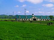 �����̖q�ꕗ�i