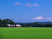 �����̖q�ꕗ�i