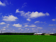 �����̖q�ꕗ�i